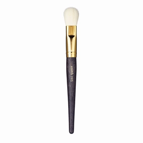 157 Wedge Brush