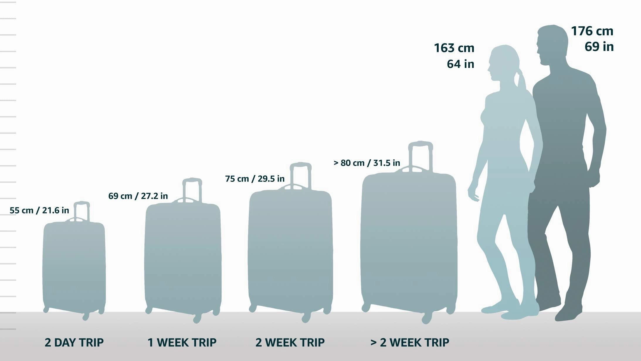 Athalon Hybrid Travelers 29" 2-Wheel Large Luggage