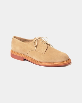 SANDERS "DIRTY" SUEDE BUCK